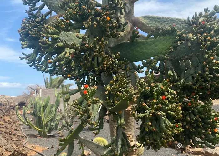 Casa Estela * Villaverde (Fuerteventura)