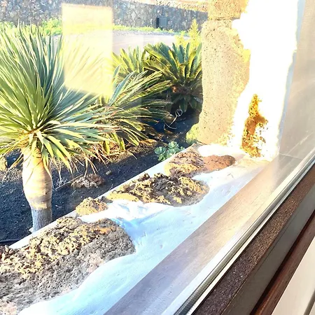Сasa de vacaciones Casa Estela Villaverde (Fuerteventura)