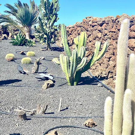 Casa Estela *