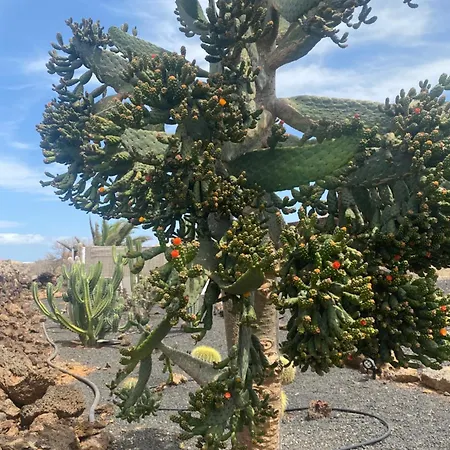 Casa Estela * Villaverde