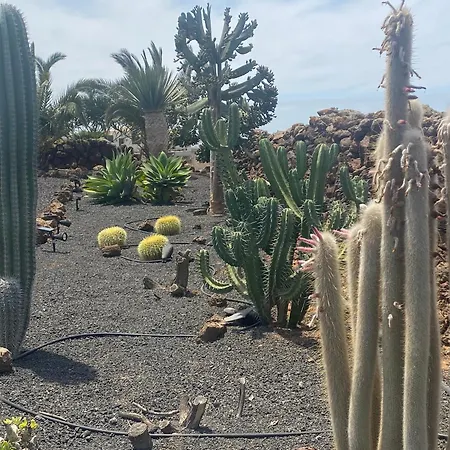 بيت للعطل Casa Estela