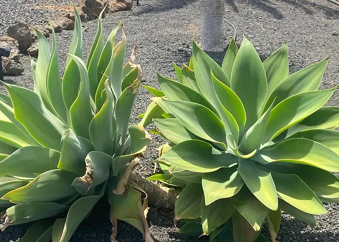 Casa Estela Villaverde (Fuerteventura)
