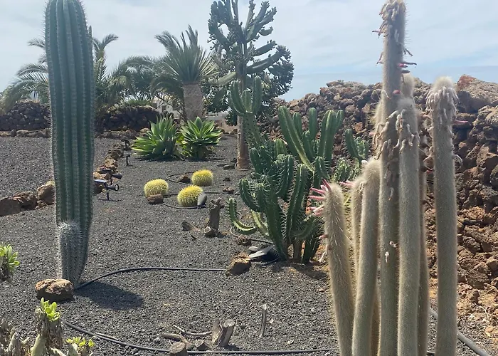 بيت للعطل Casa Estela