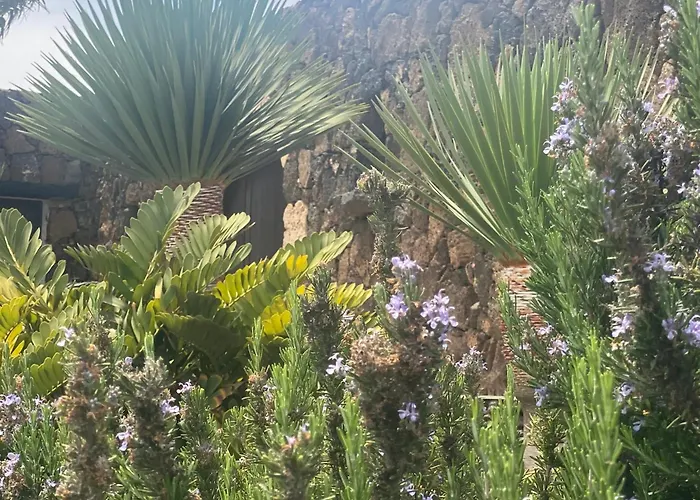 بيت للعطل Casa Estela